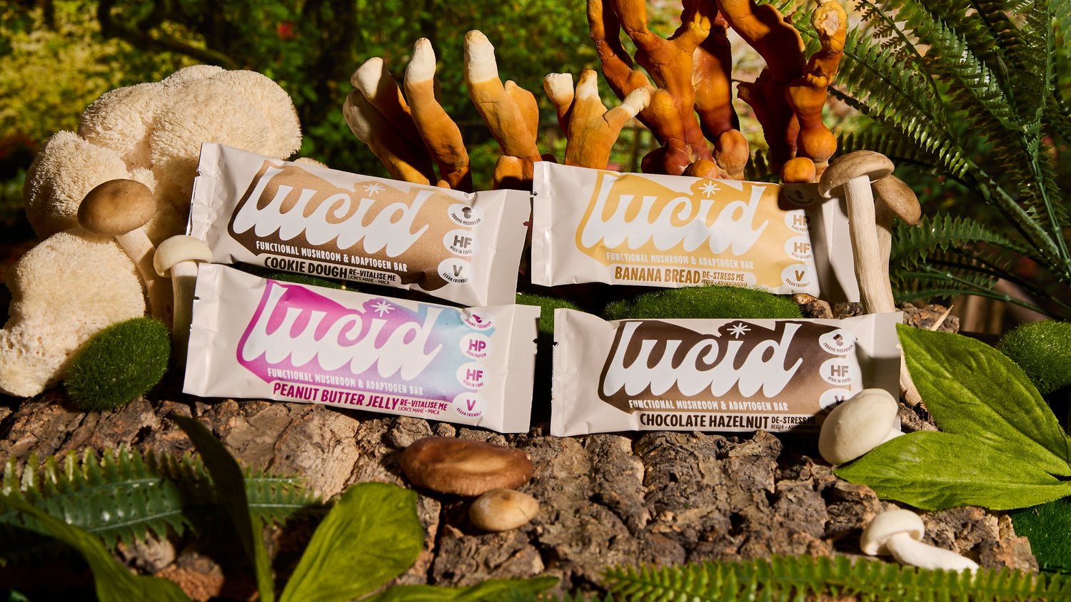 Image of all four Lucid flavours set amidst a natural backdrop of various mushrooms, including reishi and lion's mane, and greenery, with clear text and health benefit icons visible on the packaging.