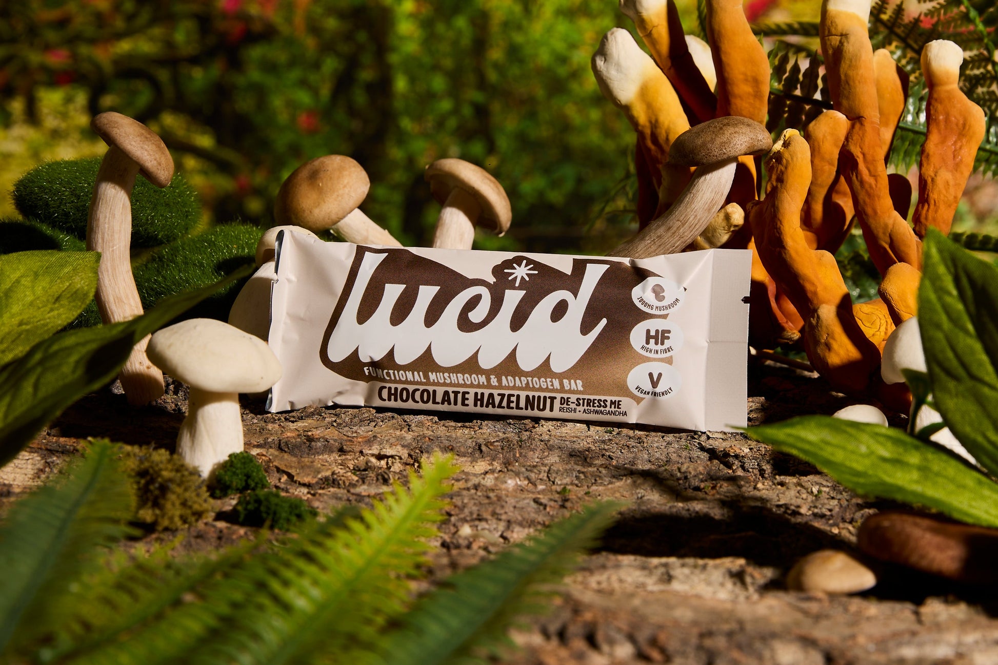 Lucid Chocolate Hazelnut bar with Reishi and Ashwagandha, amid natural greenery and mushrooms, highlights wellness.