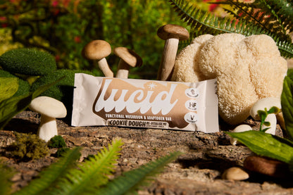 Lucid Cookie Dough bar with Lion's Mane and Maca, amid natural greenery and mushrooms, highlights wellness.